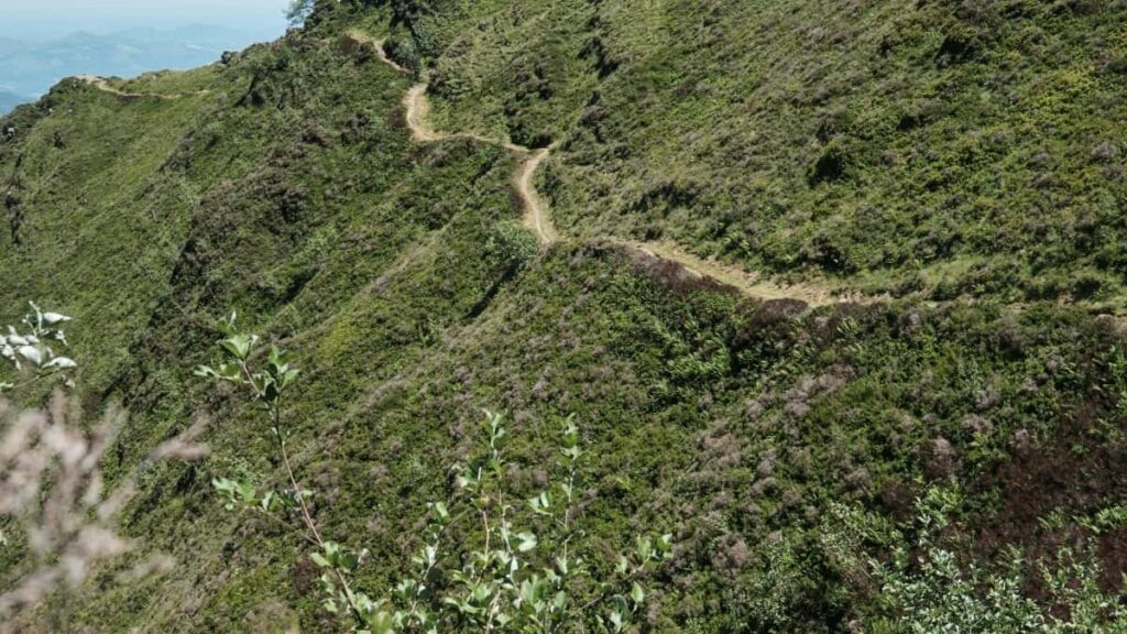 Top 10 Twitter Influencers Dapat Makipagcollab Sa New Zealand