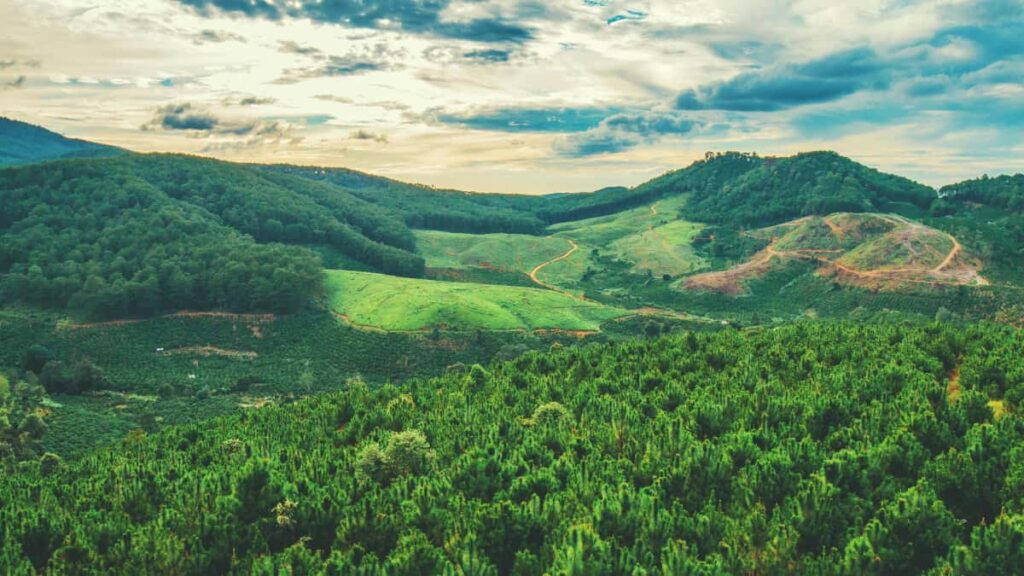 Praktikal na gabay para sa advertisers sa Philippines kung paano maghanap, mag-verify, at makipag-collab sa Etsy creators mula Armenia para ma-reach ang niche audiences.