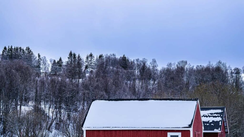 Praktikal, step-by-step guide para sa Philippine advertisers kung paano maghanap at mag-activate ng Slovenia-based Viber creators para mag-drive ng influencer-powered flash sales at hype campaigns.