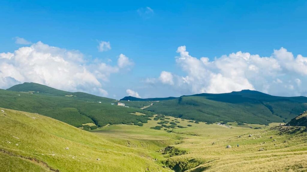 Praktikal na gabay para sa Filipino advertisers kung paano maghanap at mag-activate ng Germany-based Apple Music creators para sa sponsored challenges step-by-step, local-ready.