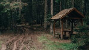 Praktikal na gabay para sa advertisers sa Pilipinas: paano humanap, i-verify, at makip-collab sa Morocco Instagram creators para sa real-life event vlogs.