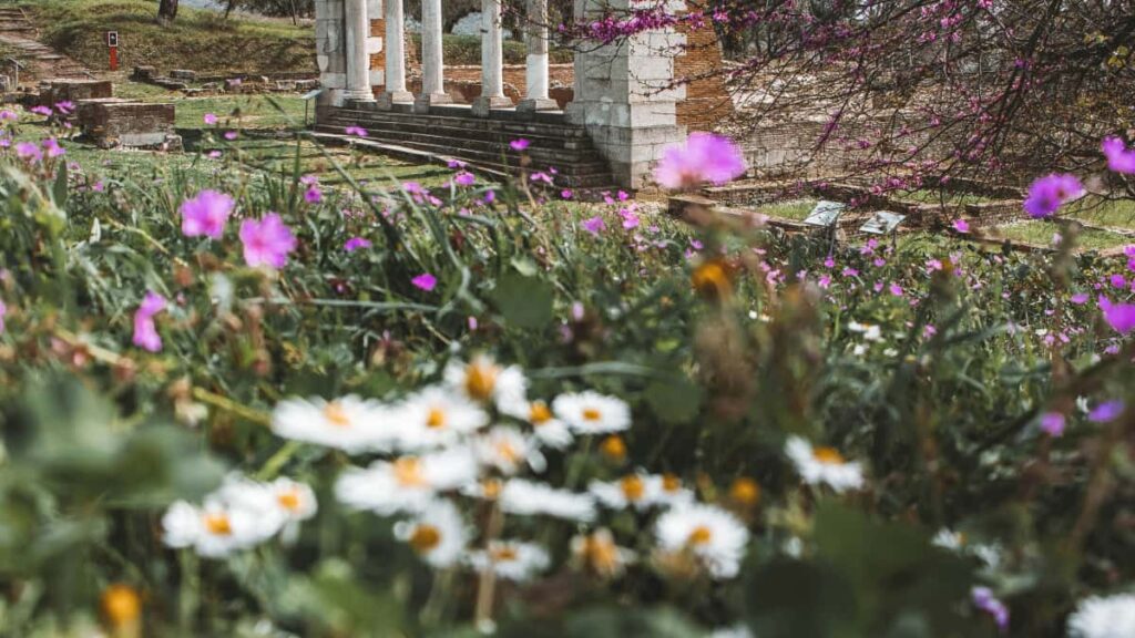 Praktikal na gabay para sa mga advertiser sa Philippines kung paano maghanap at makipag-collab sa Saudi Clubhouse creators gamit ang local insight, platform tactics, at real-world na halimbawa tulad ng Manga Productions.