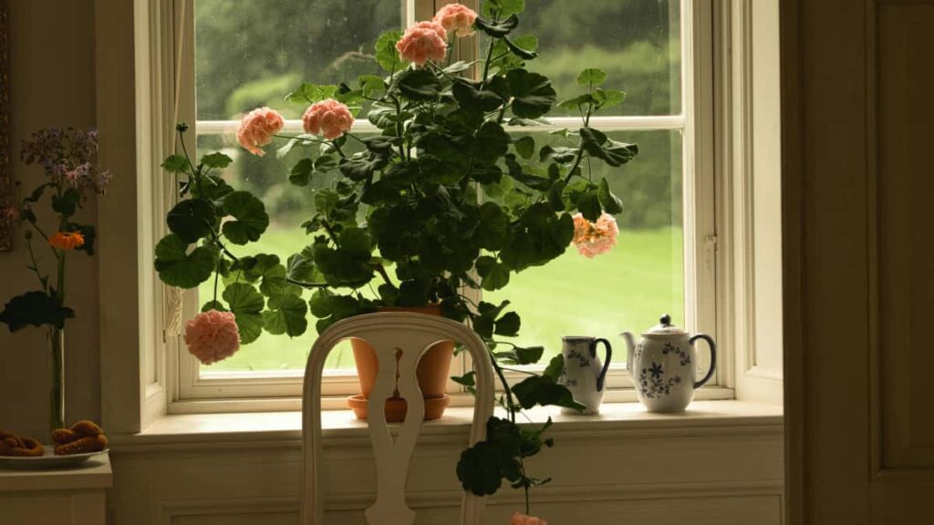 Praktikal na gabay para sa Filipino creators kung paano makalapit sa Austria brands sa Apple Music para gumawa ng song reaction videos step-by-step outreach, cultural tips, at tools.