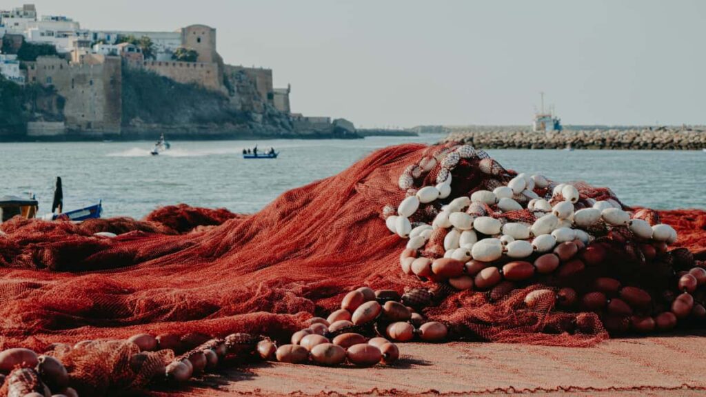 Praktikal na gabay para sa Filipino creators kung paano maabot ang Bosnia and Herzegovina brands sa Reddit at mag-gain ng bagong audience gamit ang community-first na approach.