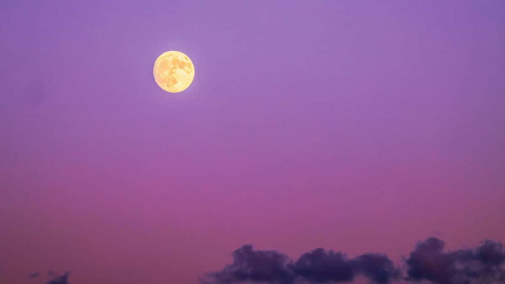 Praktikal na gabay para sa advertisers sa Philippines kung paano makahanap at makipag-collab sa Denmark Rumble creators para ilagay ang brand messaging sa livestreams taktika, risks, at sample workflow.