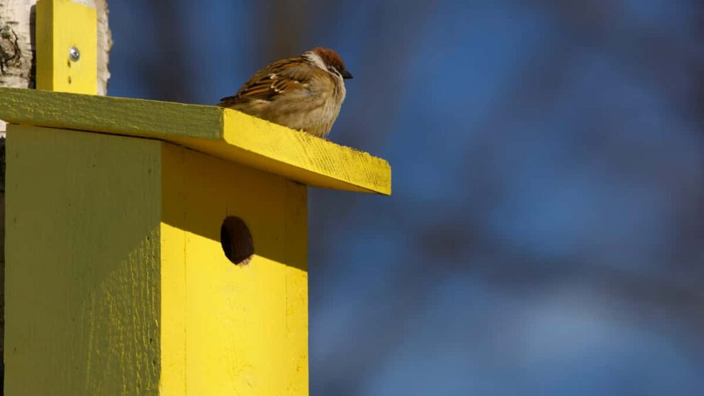 Praktikal na gabay para sa advertisers sa Philippines kung paano maghanap at mag-activate ng Panama-based Disney Plus creators para sa mga creator-led sustainability campaign.