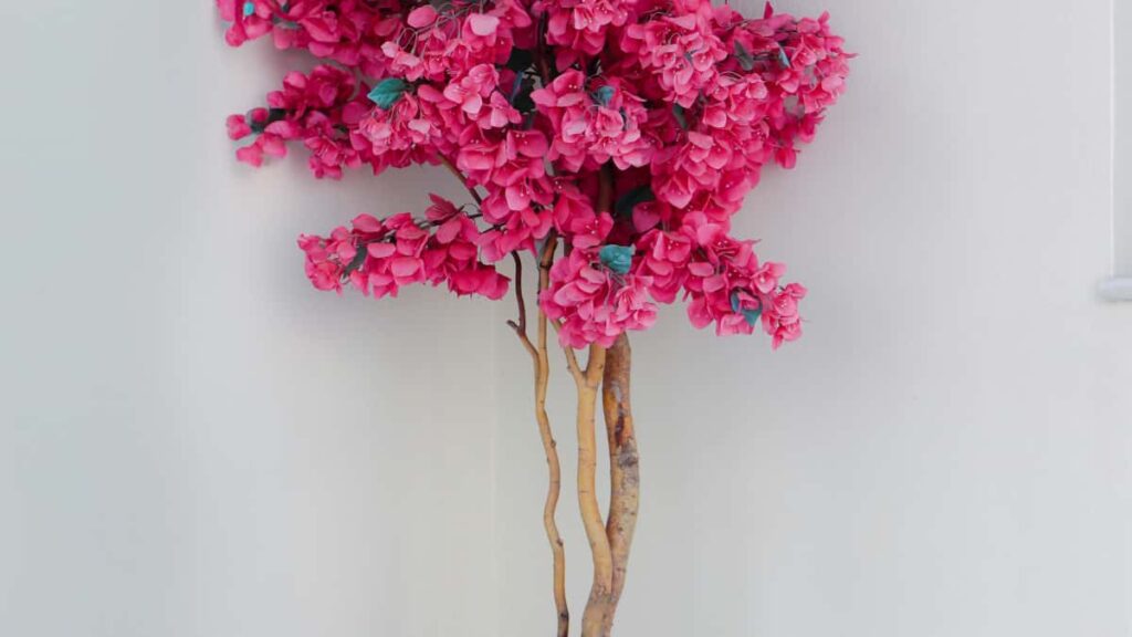 Praktikal na gabay para sa mga Filipino creator na gustong i-pitch ang French brands sa Reddit para sa live brand demos step-by-step, local tips, at playbook batay sa bagong Reddit growth data.