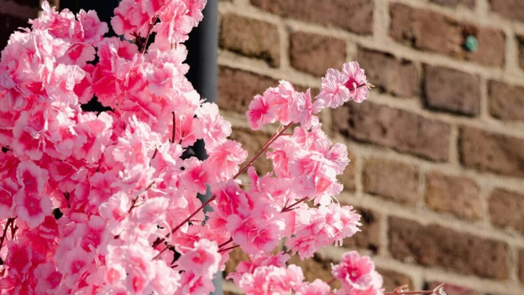 Praktikal na guide para sa Filipino creators: step-by-step kung paano maghanap, mag-approach, at mag-secure ng product review mula sa Turkish fitness brands gamit ang WeChat.