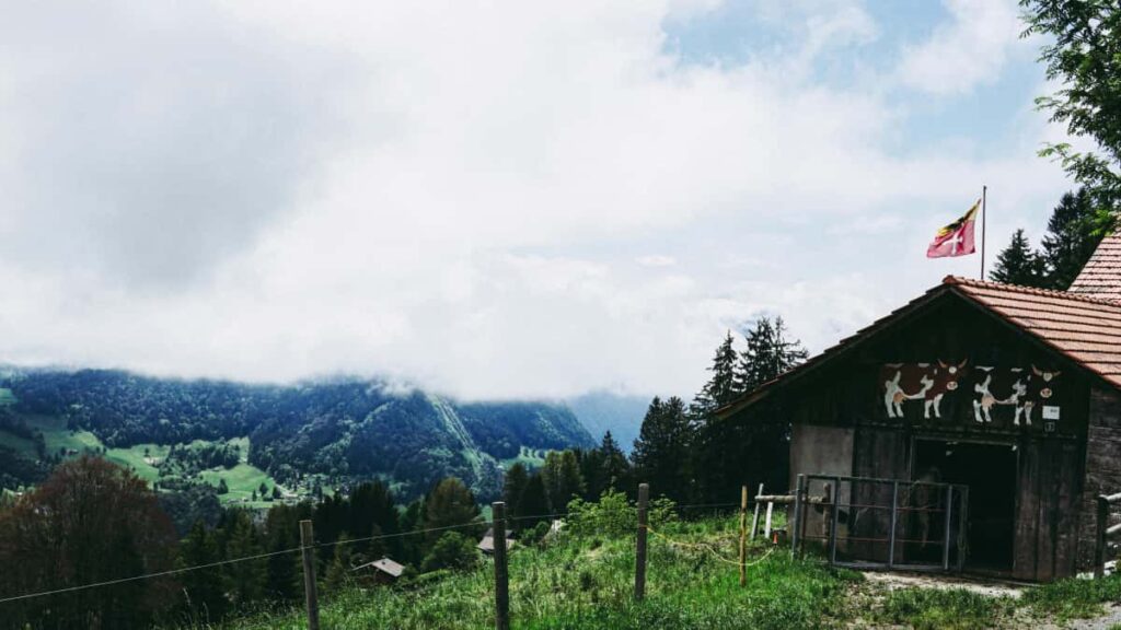 Praktikal na guide para sa advertisers sa Philippines: paano maghanap at mag-activate ng Austria-based Kuaishou creators para i-convert ang followers nila to buyers.