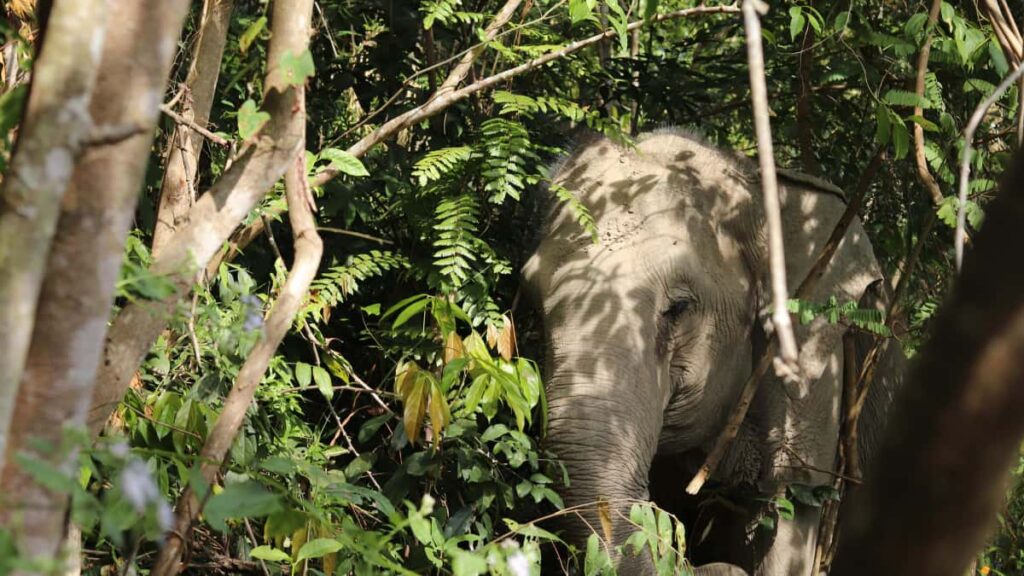 Praktikal na gabay para sa advertisers sa Philippines kung paano maghanap, mag-scan, at makipagtulungan sa Switzerland Moj creators para gumawa ng viral video contentmay privacy, monetization, at trend tips.