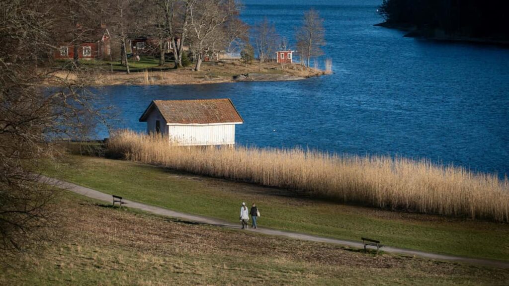 Practical na stepbystep para sa Filipino creators kung paano magapproach ng French beauty brands sa eBay at maging ambassador kasama ang outreach script, negotiation tips, at legal reminders.