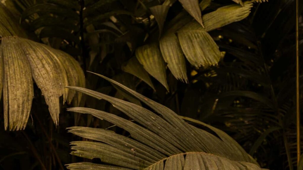 Practical na gabay para sa Filipino creators: paano mag-reach ng Latvia brands sa Taobao at gawing viral wardrobe haulstep-by-step, tools, at content strategy.