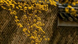 Praktikal na gabay para sa advertisers sa Philippines kung paano mag-source ng Nigerian Shopee creators, gamit ang platform tactics, lokal na insight, at recent na balita.