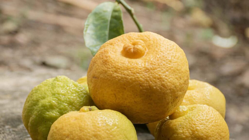 Praktikal na gabay para sa Filipino creators kung paano mag-reach at mag-collab sa Malaysian brands na nagbebenta sa eBaystrategy, outreach templates, at risk checks.